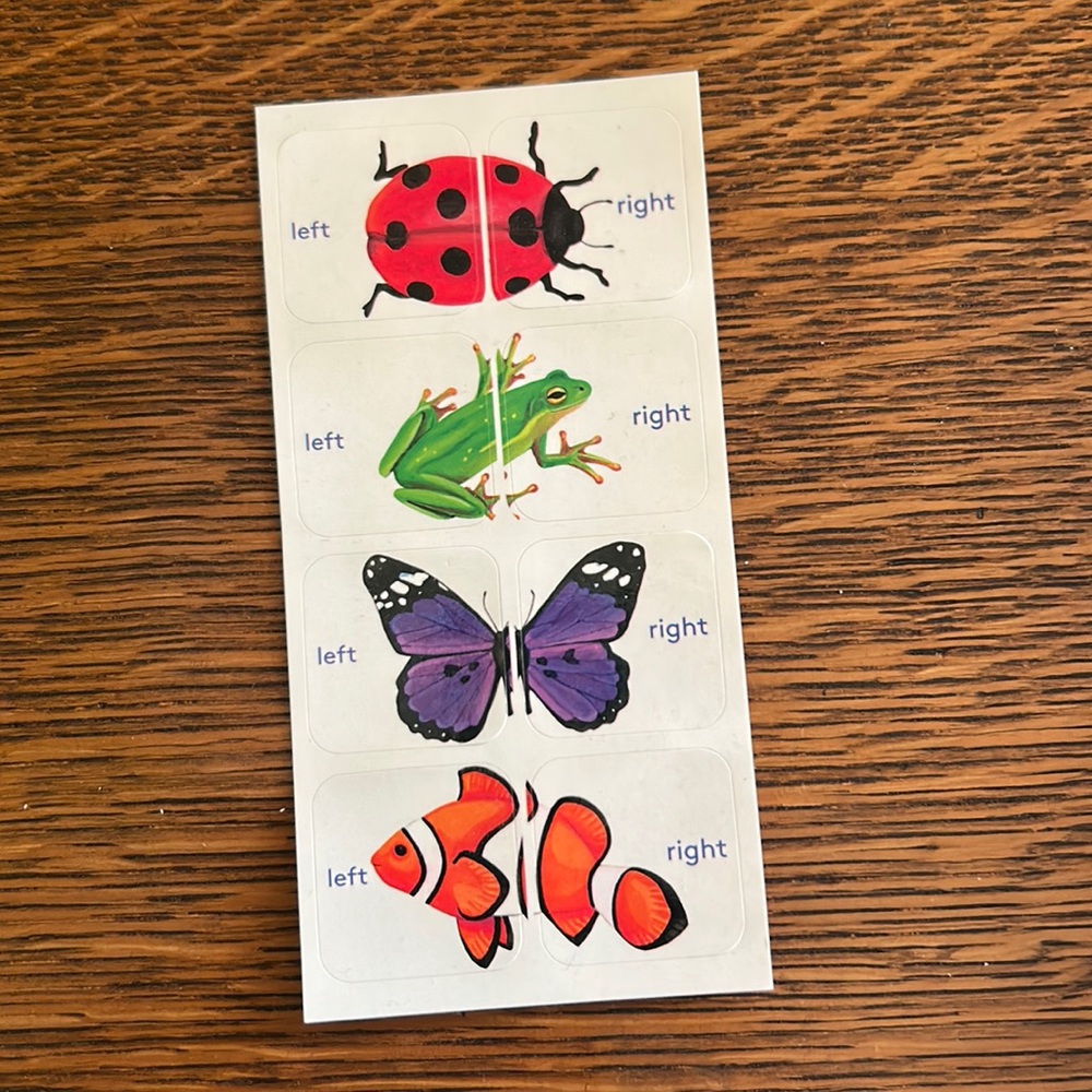 Lovevevery Shoe Stickers